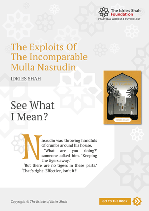 See What I Mean? from The Exploits of the Incomparable Mulla Nasrudin