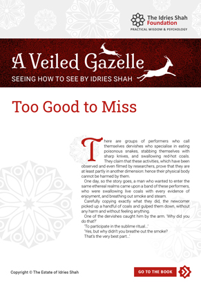 Too Good to Miss from A Veiled Gazelle