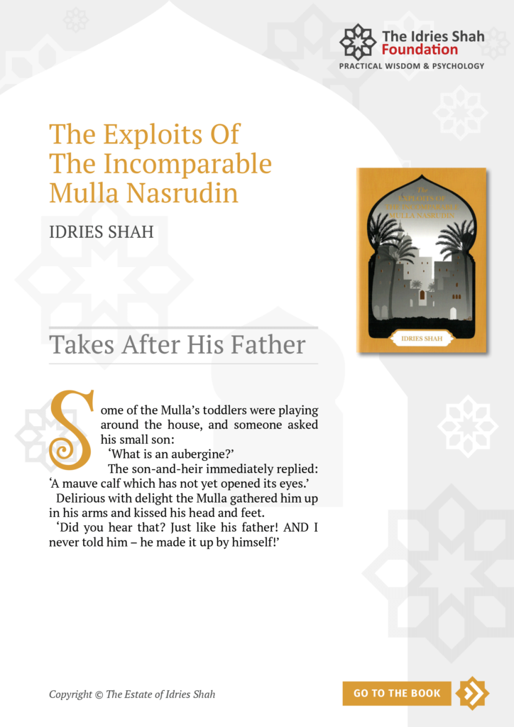 Takes After His Father from The Exploits of the Incomparable Mulla Nasrudin