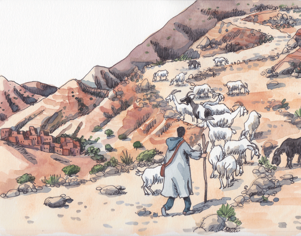 The Boy With No Voice and the Men Who Couldn’t Hear by Idries Shah - Image 7